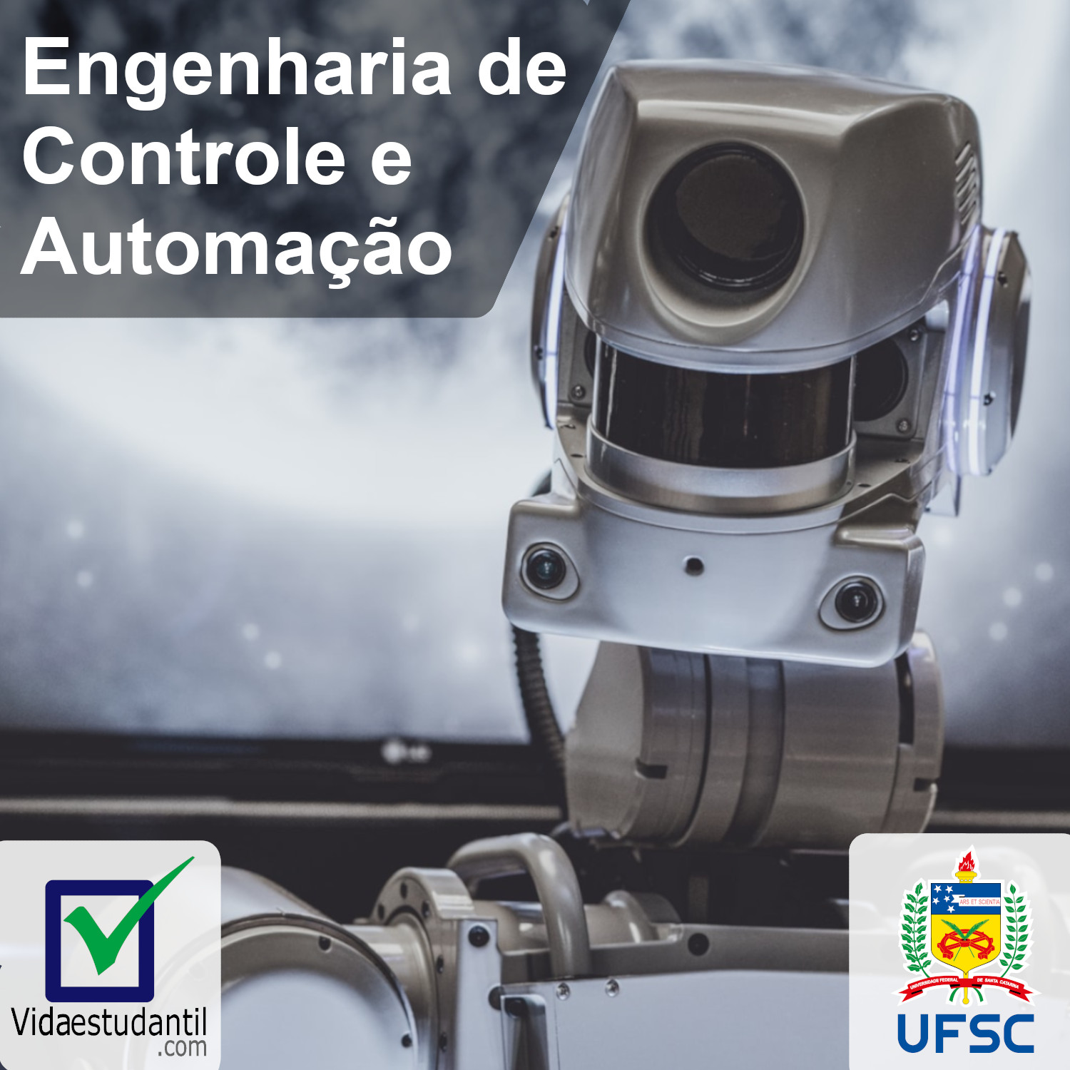 Vida Estudantil